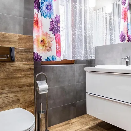 Serce Gor * 자코파네